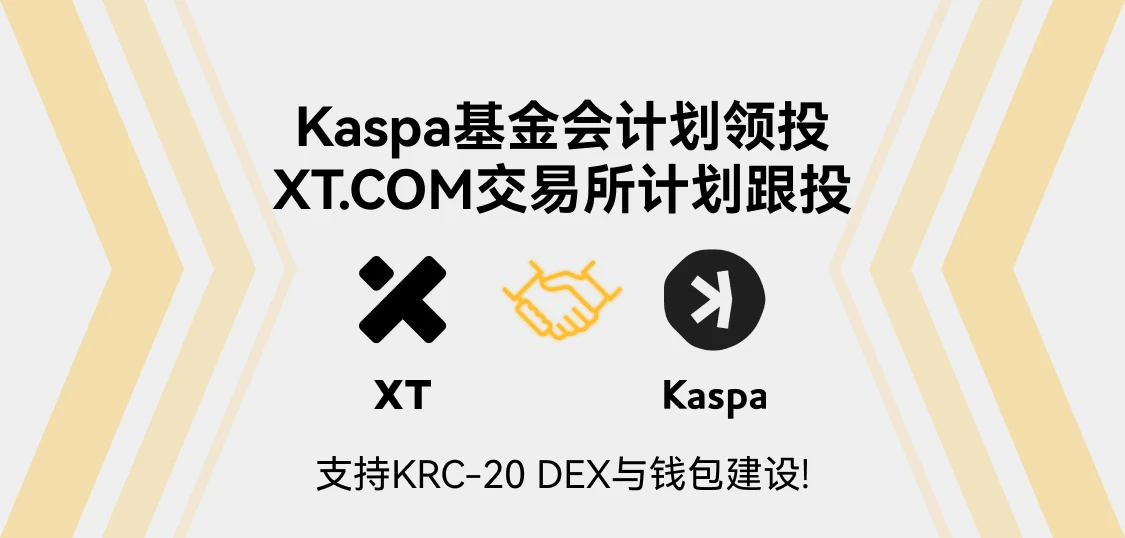 Kaspa基金会计划领投，XT.COM交易所计划跟投支持KRC-20 DEX与钱包建设