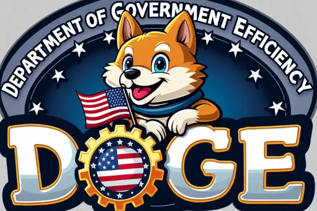 马斯克将入阁美政府效率部，DOGE再起舞？