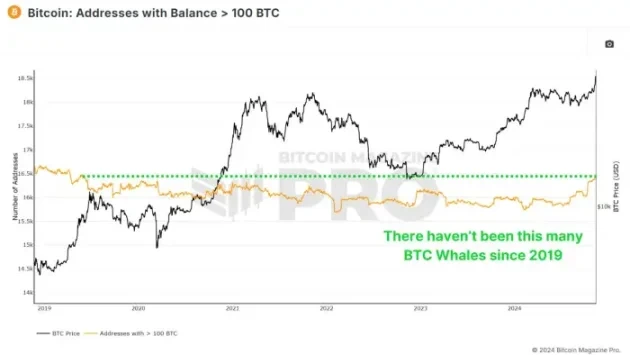 ビットコインは歴史的高値まで上昇、個人投資家はFOMO？