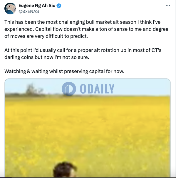Odaily