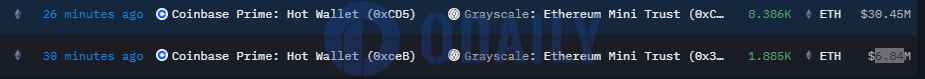 Odaily