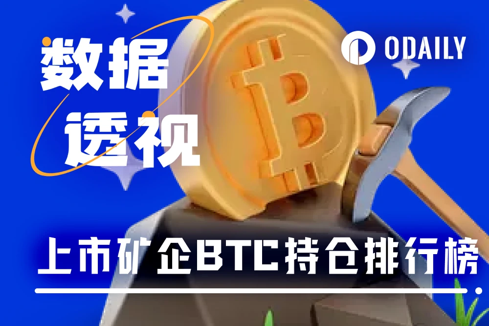 Nhìn nhanh về 12 BTC nắm giữ hàng đầu của các công ty khai thác niêm yết, trong đó số một nắm giữ gần 35.000 xu