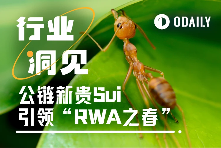 L1搏杀进行时，公链新贵Sui引领“RWA之春”