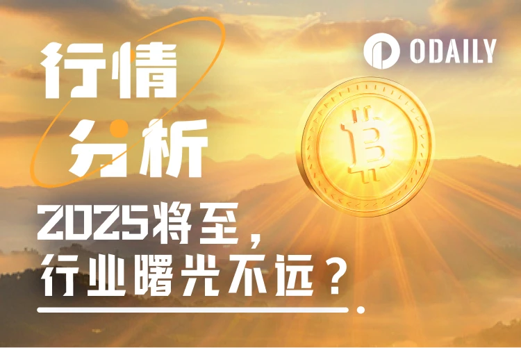 BTC震荡调整，2025年行业曙光能否照亮前路？