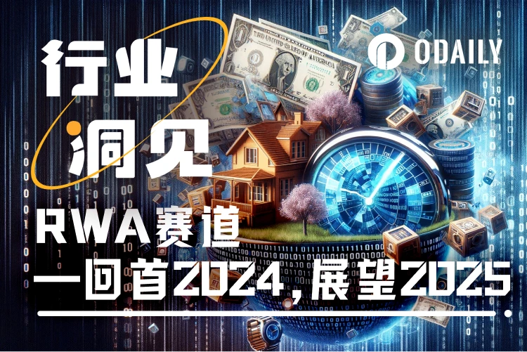 2024年RWA赛道年度总结：前景可期，但散户仍难从中获益