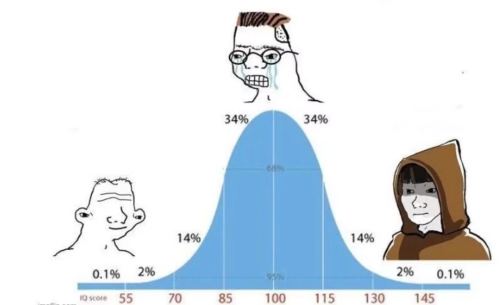 Encrypted IQ curve: idiots, mediocre people and geniuses, who are the real leeks?