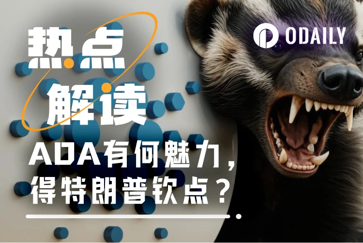 单日暴涨超60%，ADA的“核心科技”是特朗普关系网