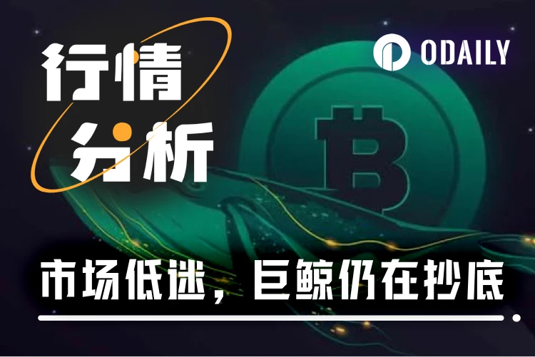 BTC暴跌，机构和巨鲸正在疯狂抄底