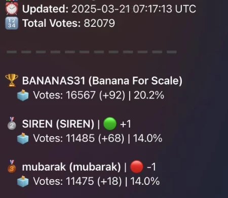 追踪币安首轮投票上币：“香蕉”、SIREN暂居前列，mubarak或成黑马