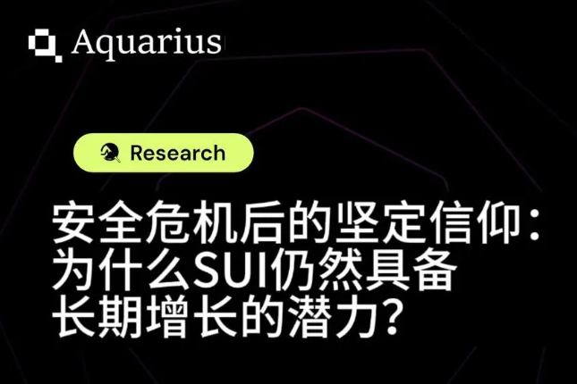 安全危机后的坚定信仰：为什么 SUI 仍然具备长期增长的潜力？