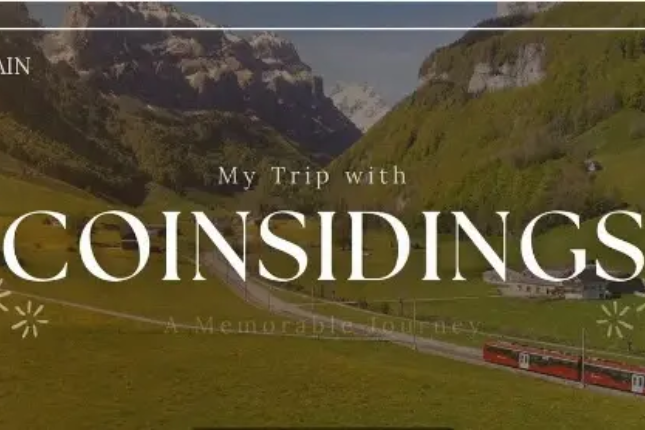 Understanding Coinsidings: When consumption brings the dual benefits of assets and equity