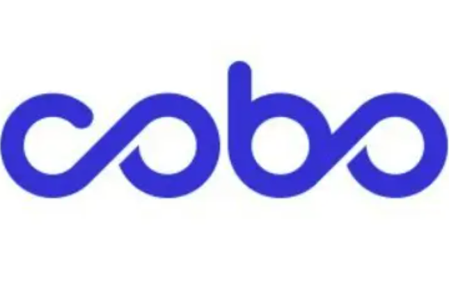 Cobo｜RWA 的 DeepSeek 时刻将至：发展趋势、落地路径与机构最佳实践全景解析