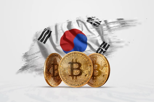 韩国加密用户链上行为报告：80000+钱包分析，三大公链策略