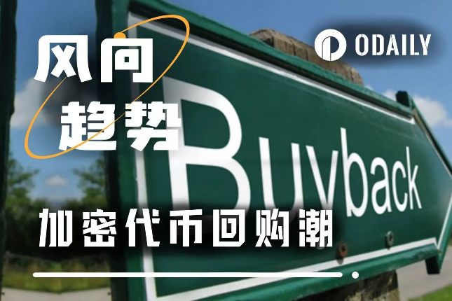 从增长幻觉到现金流现实：当回购成为山寨币的集体叙事